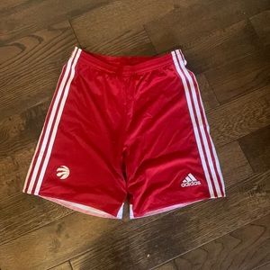 Basketball raptors shorts